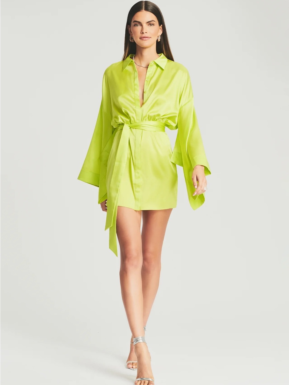 Retrofete Scottie Lime Belted Silk Dress - NWT Size Medium